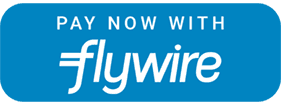 Flywire payment logo