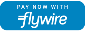 Flywire payment logo