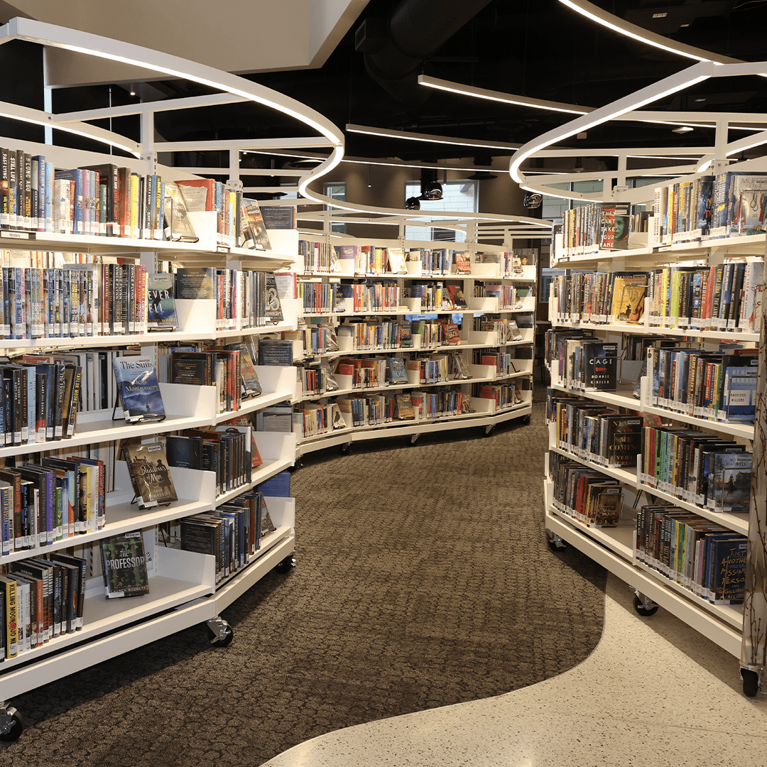 Library shelves filled with books